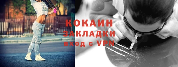 первитин Михайлов