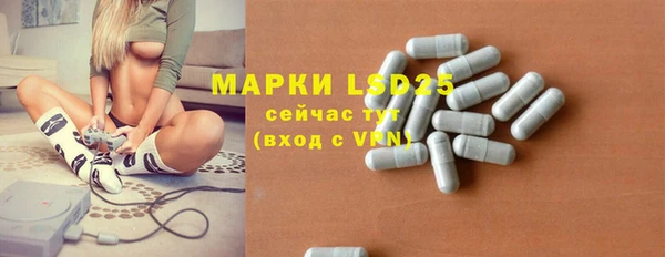 первитин Михайлов